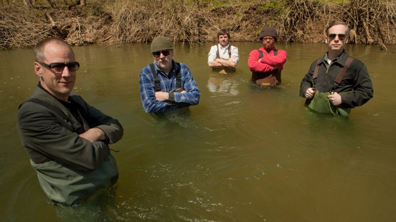 Archivo:Tortoise background.jpg