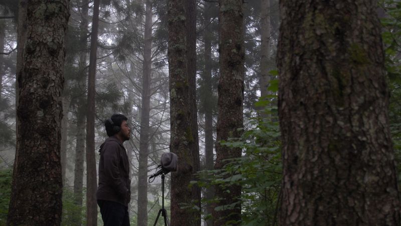 Archivo:Yosi Horikawa background.jpg